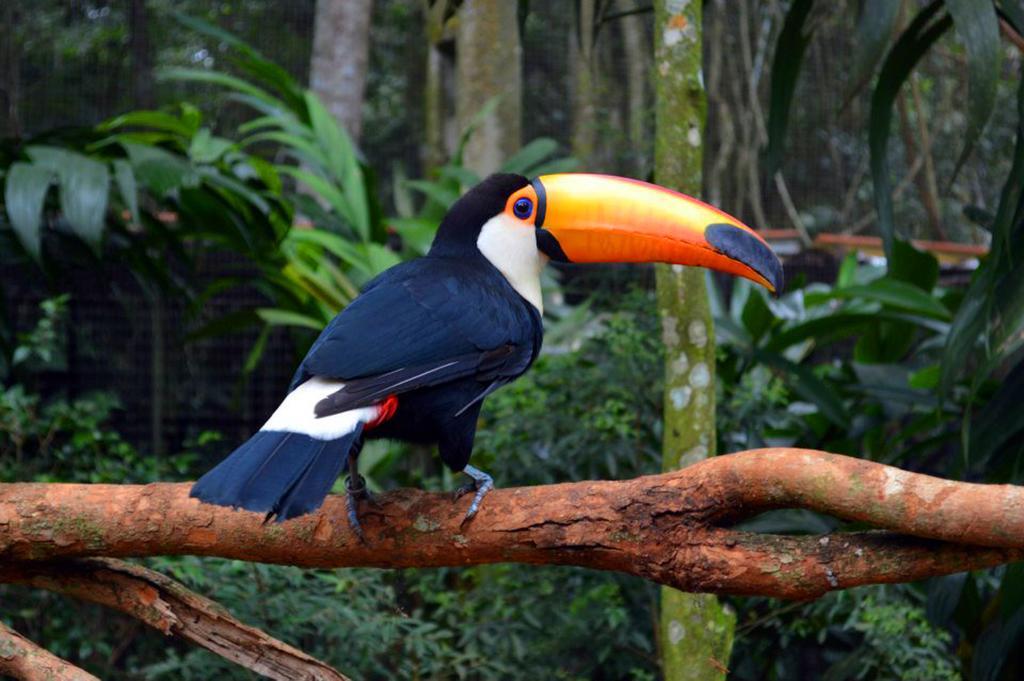 Posada Del Chaman Iguazu Puerto Iguazú Buitenkant foto